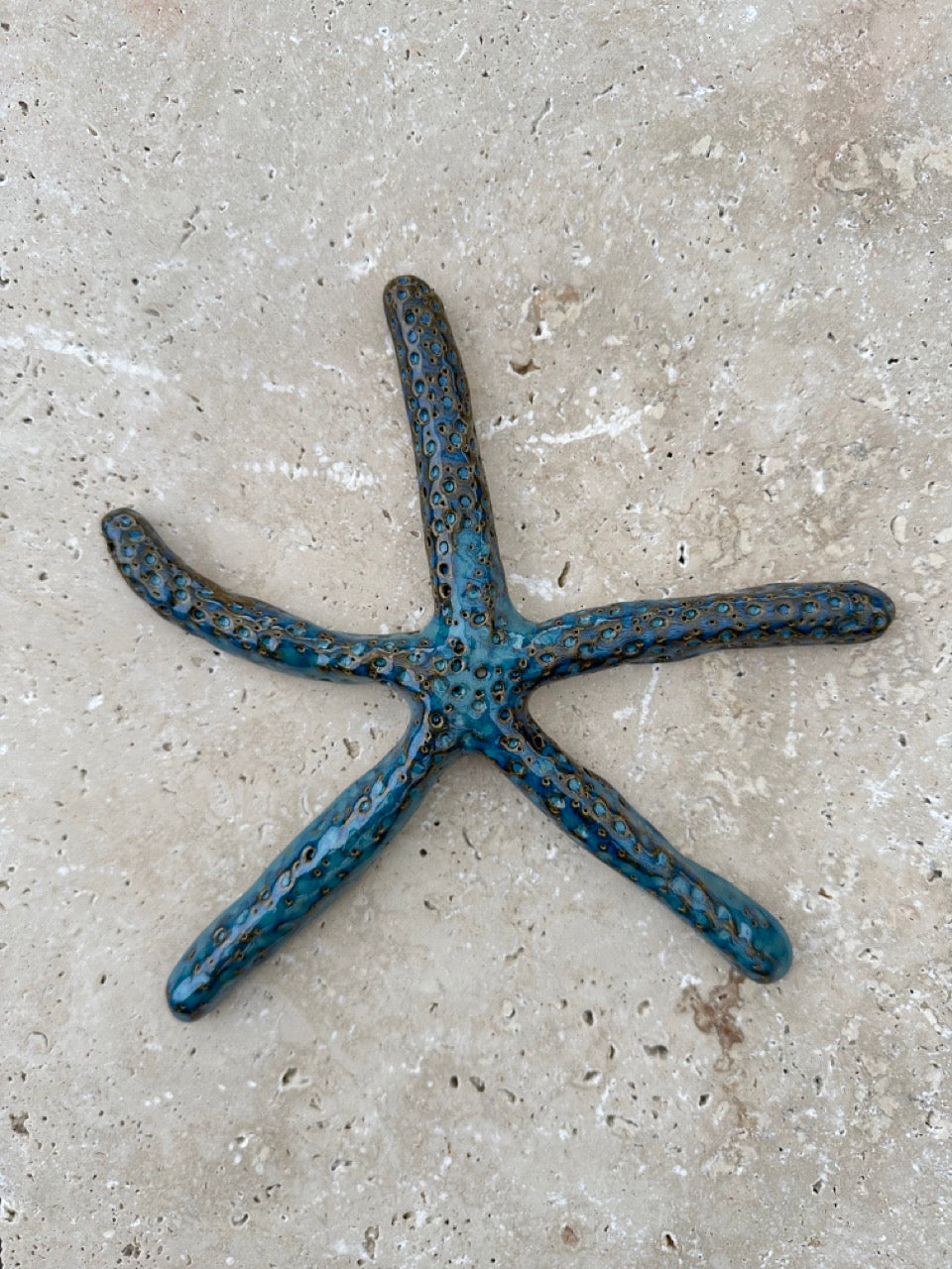 Linckia Sea Star